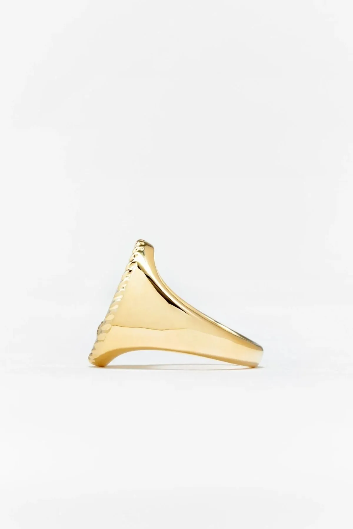 Yvonne Léon Large Red Agate Oval Chevalière Ring - Yellow Gold